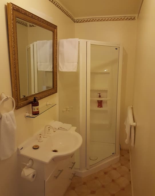 Music Room Ensuite Bathroom