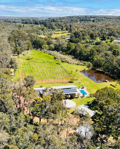 The Siding -Yallingup Retreat (Formerly 81 Estate) gallery image 5