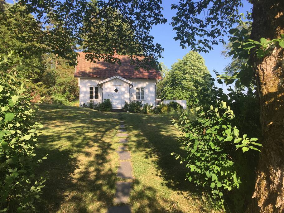 summer view