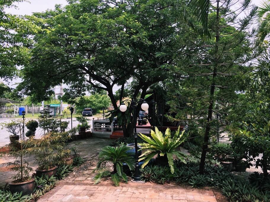 Green space in front of the house with balcony under the tree