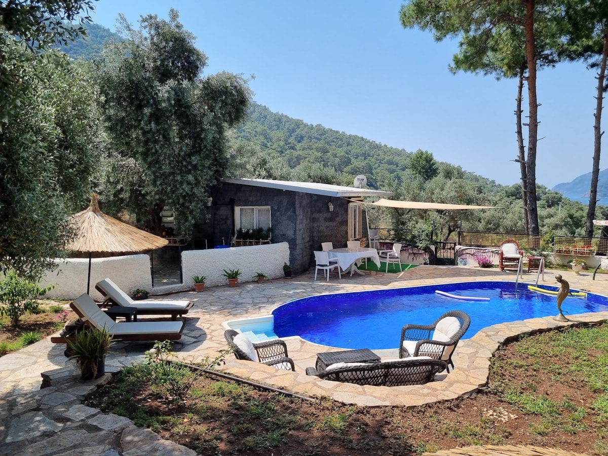 A serene outdoor space features a large pool surrounded by a stone patio. Sun loungers are placed next to the pool, and a shaded area is provided by a thatched umbrella. Lush greenery and trees create a tranquil atmosphere, while a cozy seating arrangement is positioned nearby.