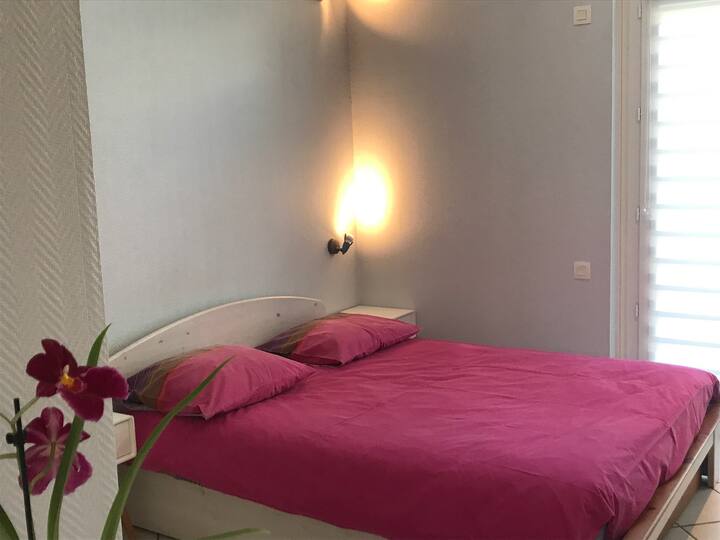 Belle Chambre Calme Et Spacieuse Sur Jardin - Châtellerault
