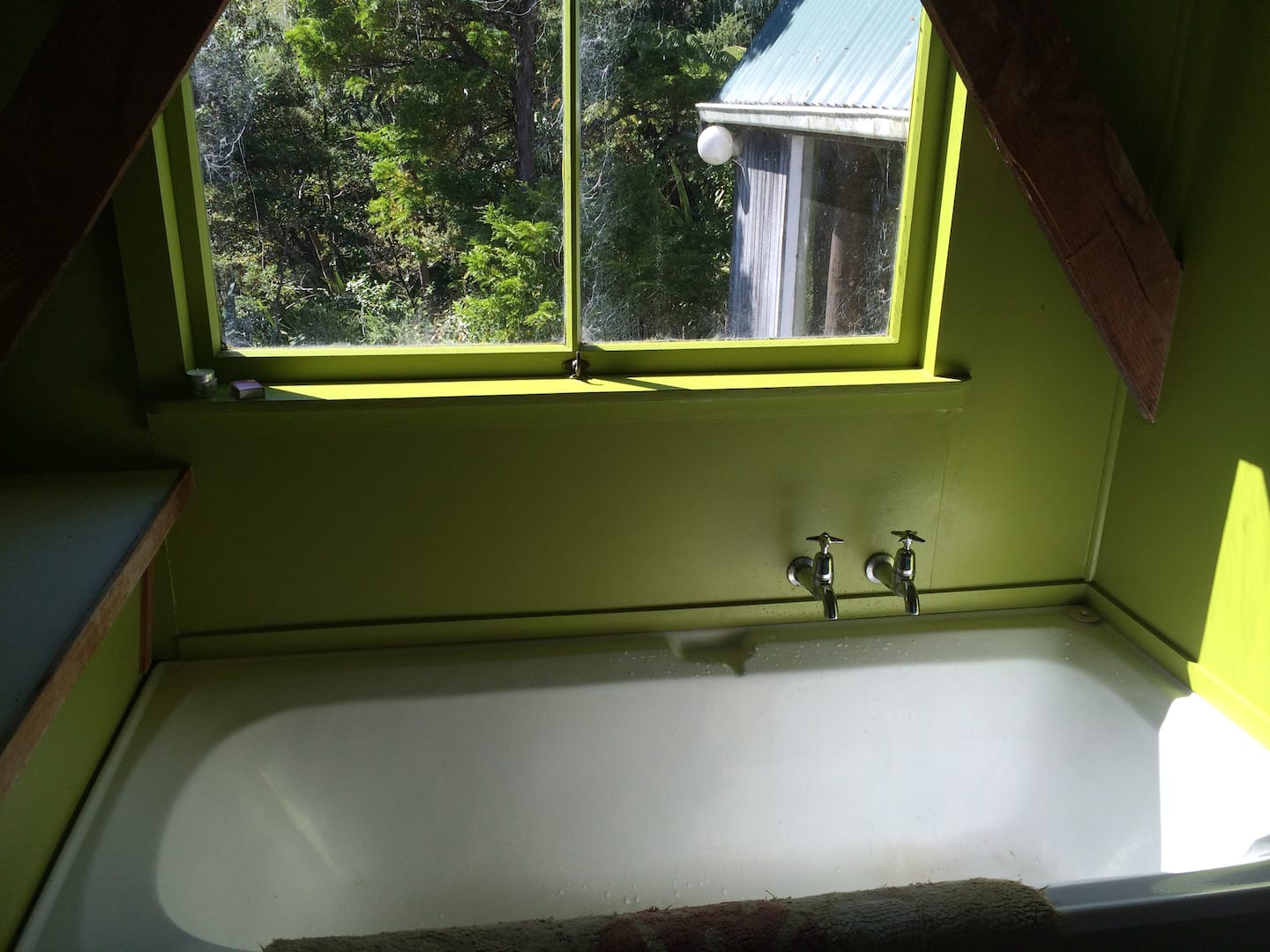 Lone Kauri Cabin 2