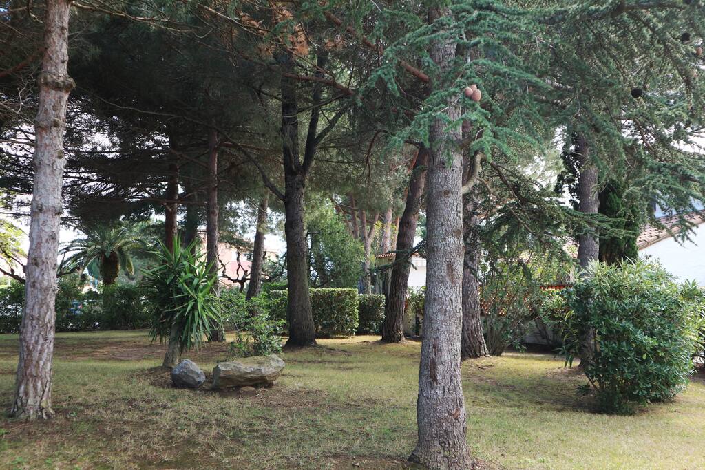 Parc face au jardin