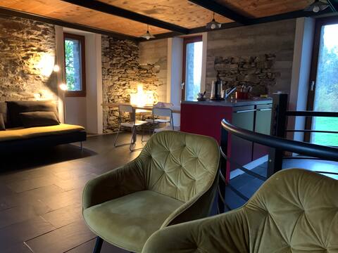 Rustic Conceprio & SAUNA