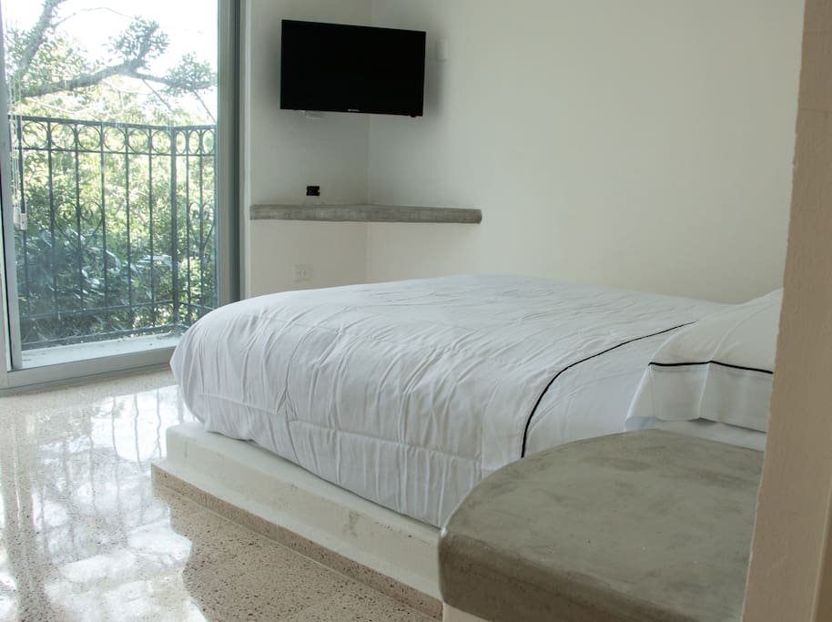 Habitación cama Queen Size con balcón y vista al parque