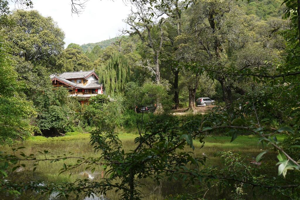 绿叶青葱树林环抱中的红山客栈,山清水秀民风朴实。