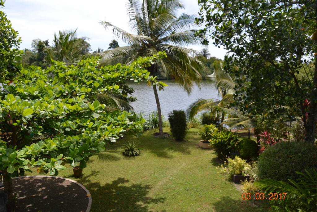 Lake VIew