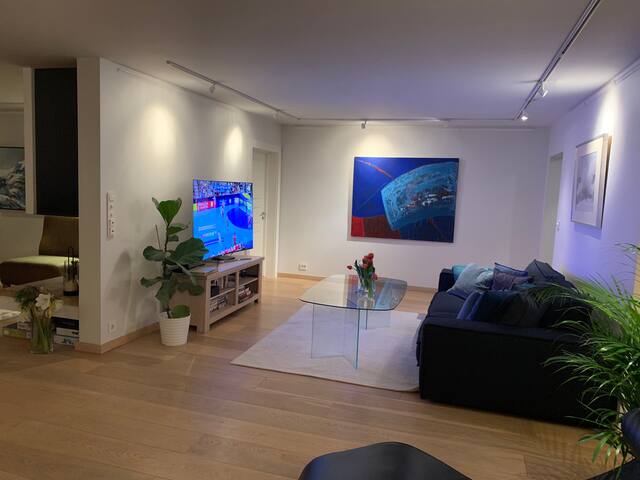 Veldig bra egnet for 3 par på Oslotur gallery image 5