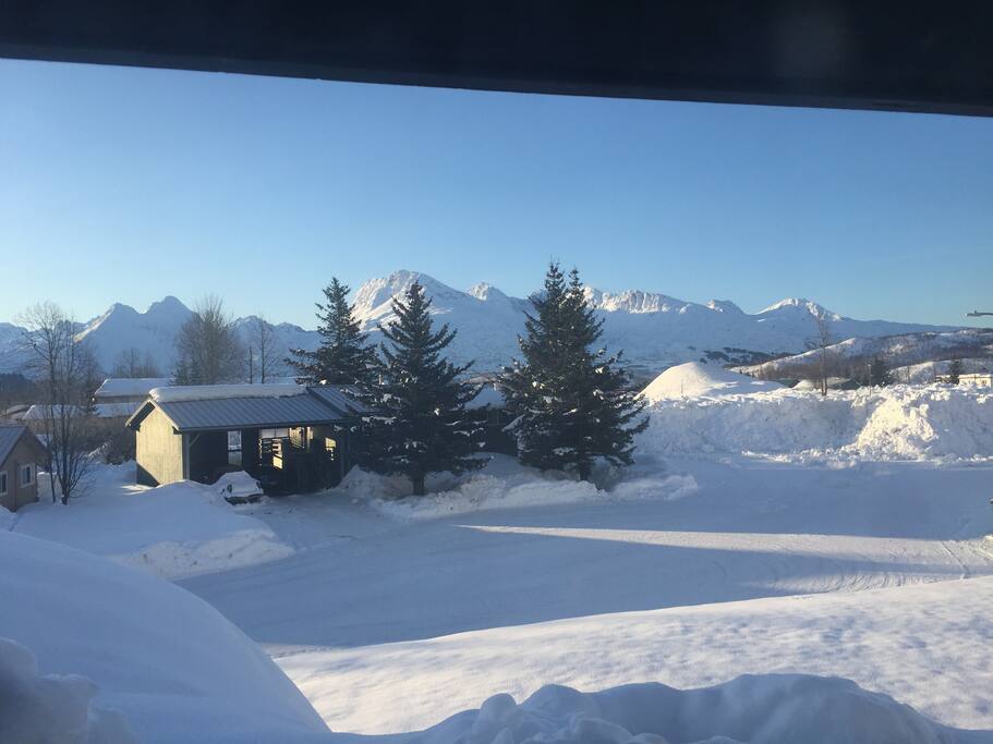 View from Denali room in winter