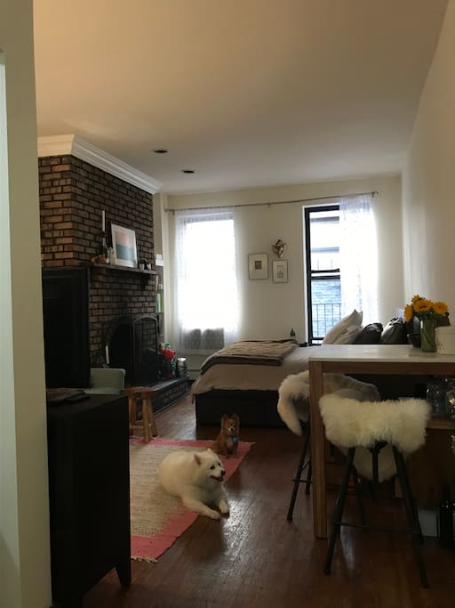 Spacious studio space. Dogs not included.