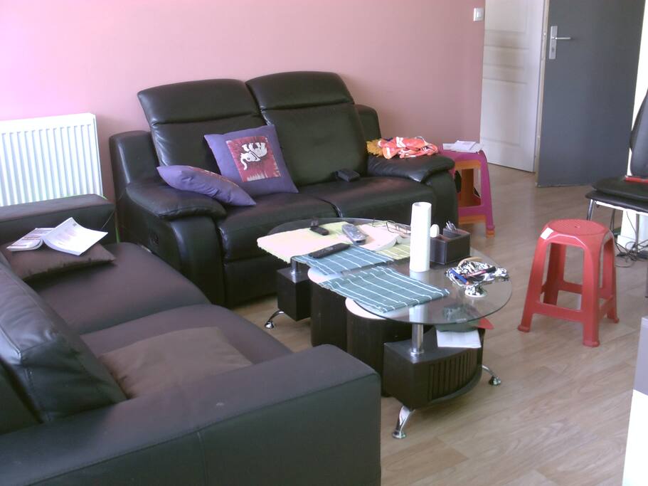 SEJOUR AVEC UN CANAPE LIT 2 PLACES MATELAS MEMOIRE DE FORME