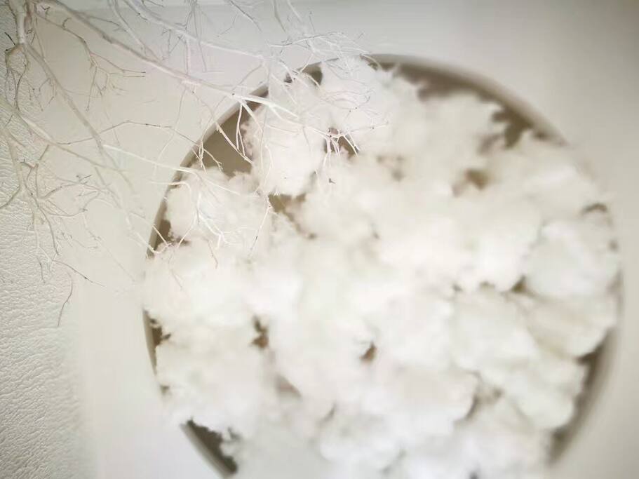 初(Purity)