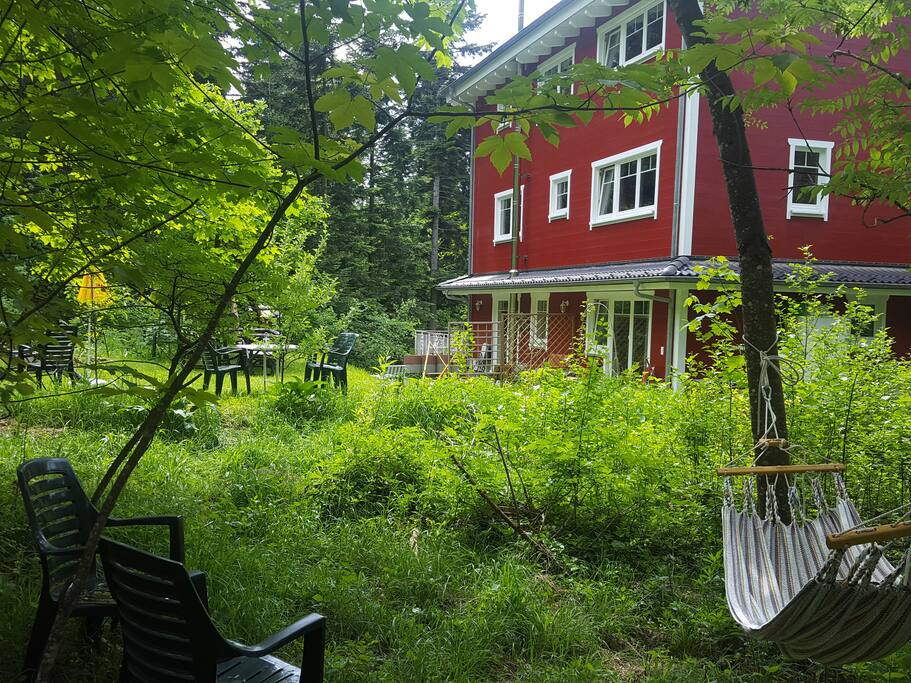 Hängematte im Wald