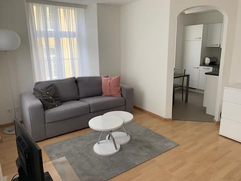 New renovated 3 1/2 room apartment up to 8 guests