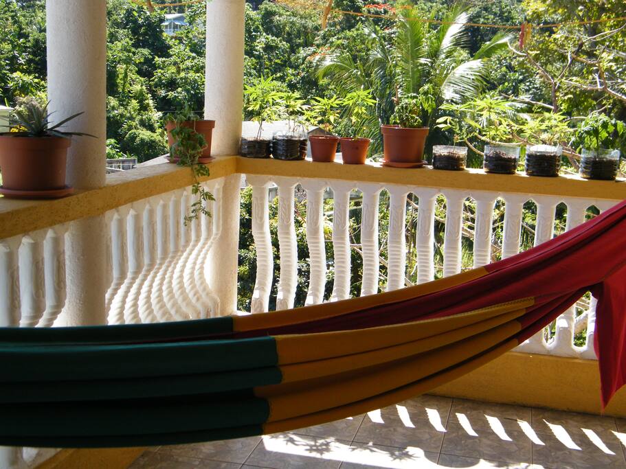 Balcony - Common Hammock