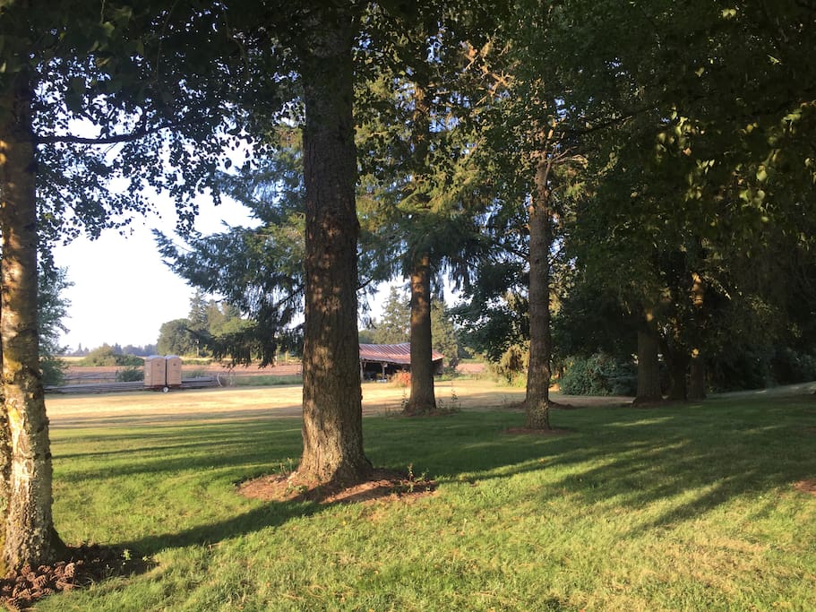 Choose from the shade or sunny open field.