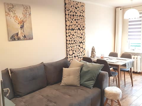 Popular Airbnb listing: Apartament Mały Jelonek, Cieplice Spa, SPA in Jelenia Góra