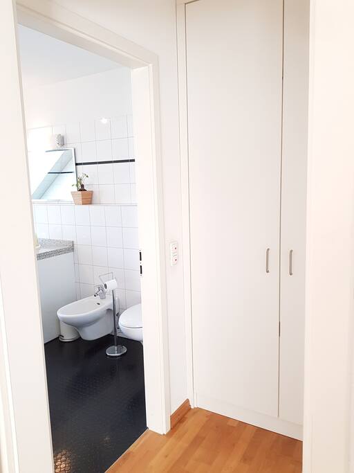 Zwischenflur und Badezimmer