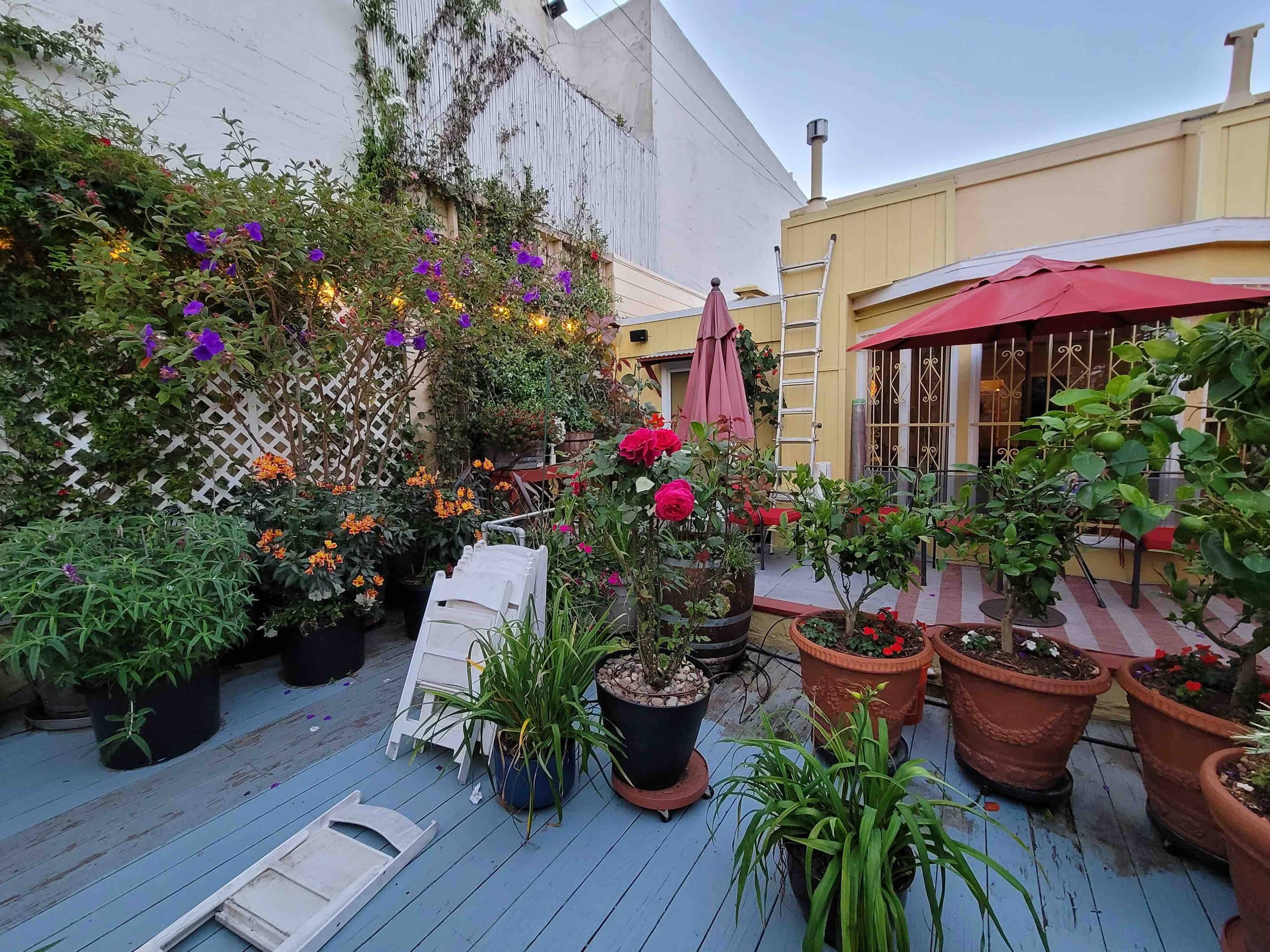 Home in San Francisco · ★4.98 · 2 bedrooms · 1 bed · 1 bath - Image 48
