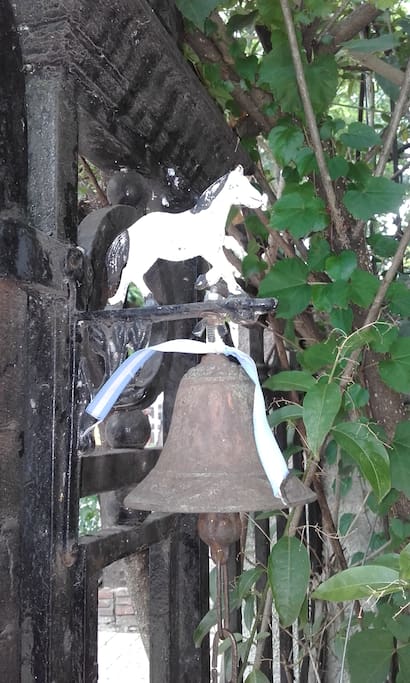 Al llegar a casa el caballito te da la bienvenida y nos avisa que llegaste!!!