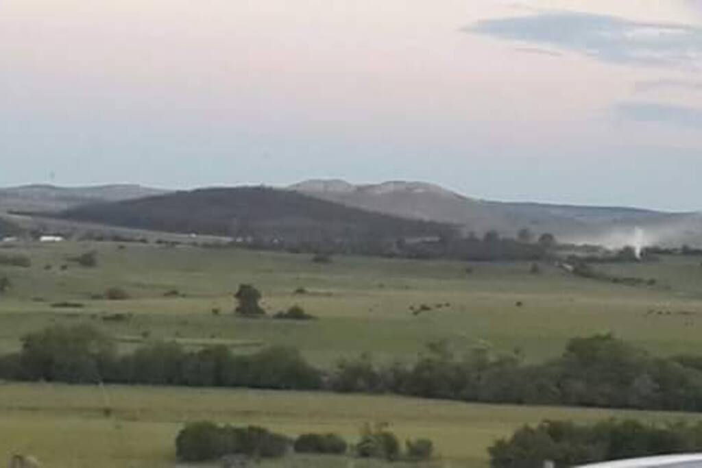 Especulares vistas