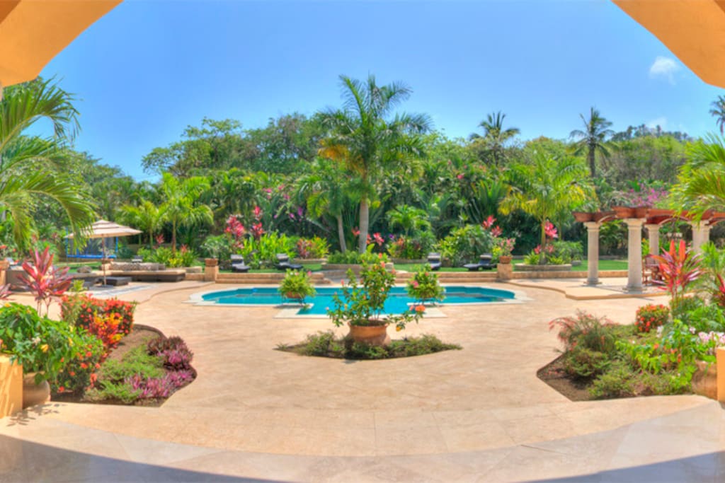 Pool View from the house