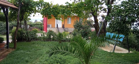 Guesthouse by the sea near Batumi