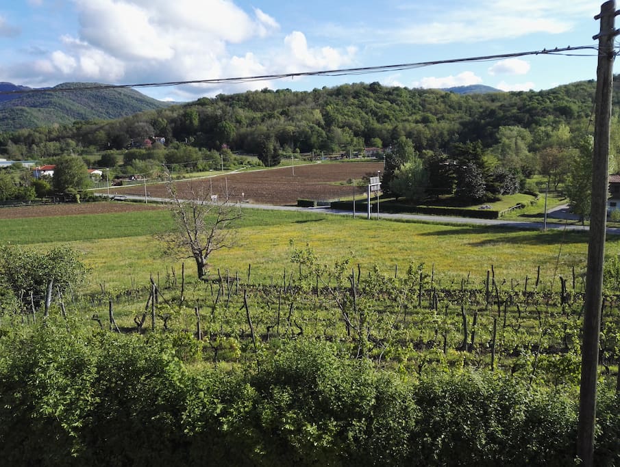 Vista dalla finestra