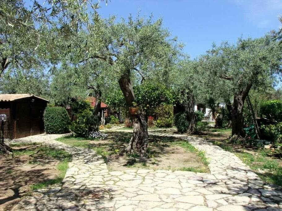 Prospettiva dal cancello d'ingresso