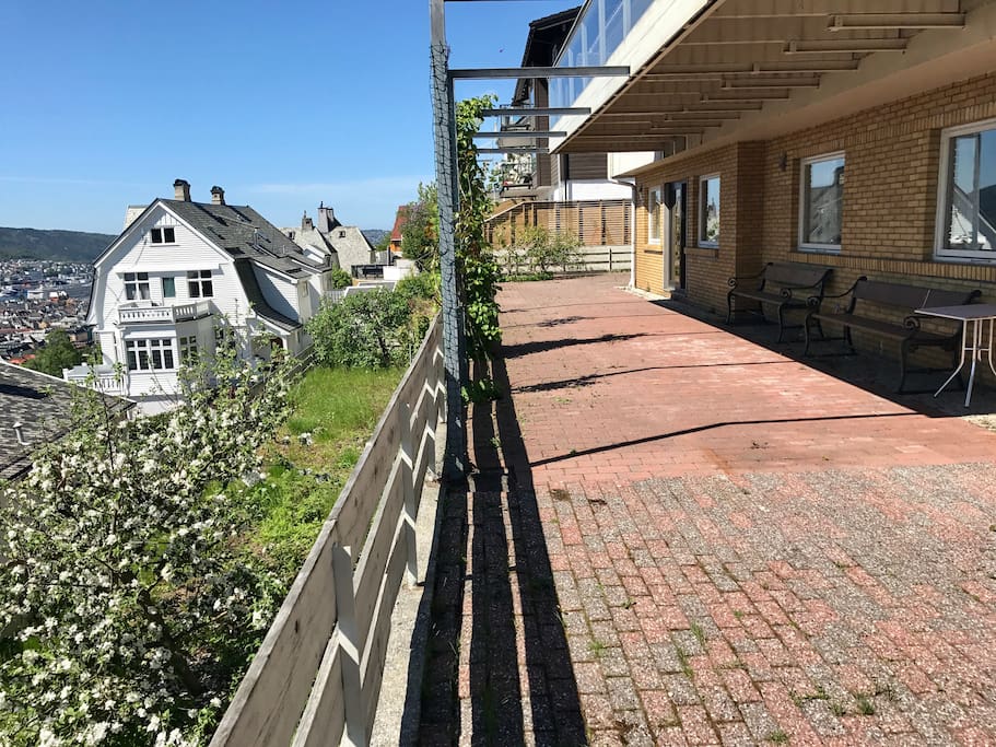 Garden and terrace