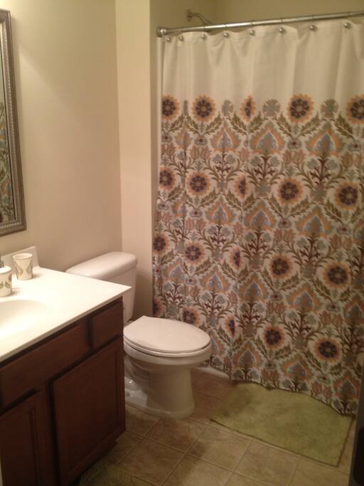 Guest bathroom