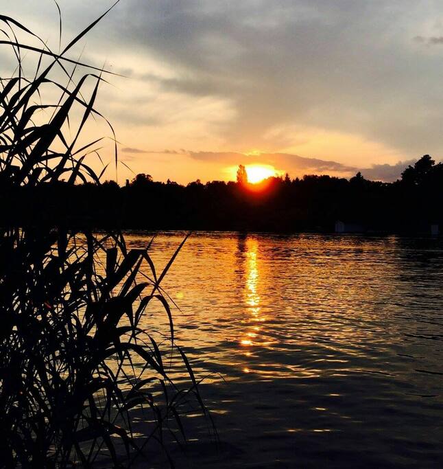 photo from pontoon