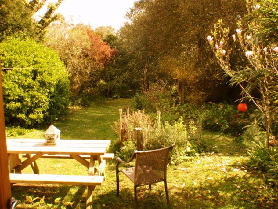 Garden view from Lodge