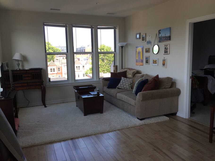 Living room. Very comfortable couch and queen air mattress.
