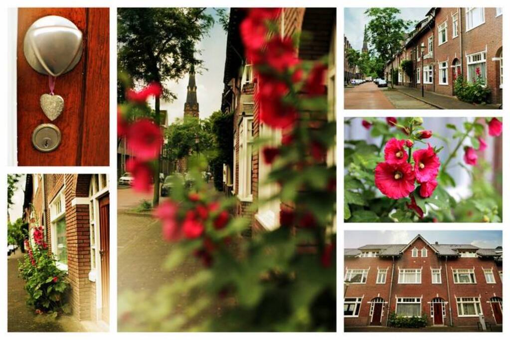 This is our lovely street, it's right in the centre. Without the busyness of the crowd. You can really relax here will still be at the center of eindhoven and 3 minutes away from the central station. You'll also love the traditional dutch house.