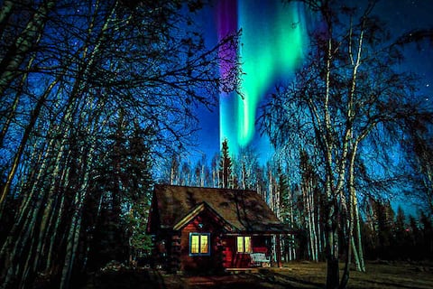 Log House With Running Water & Shower and Sauna