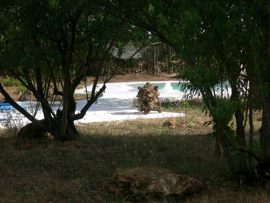piscina a sfioro in giardino