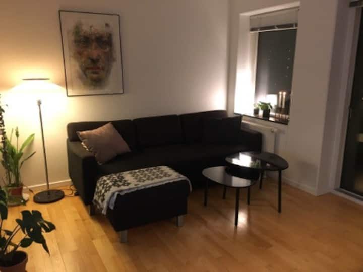 Central apartment in Århus