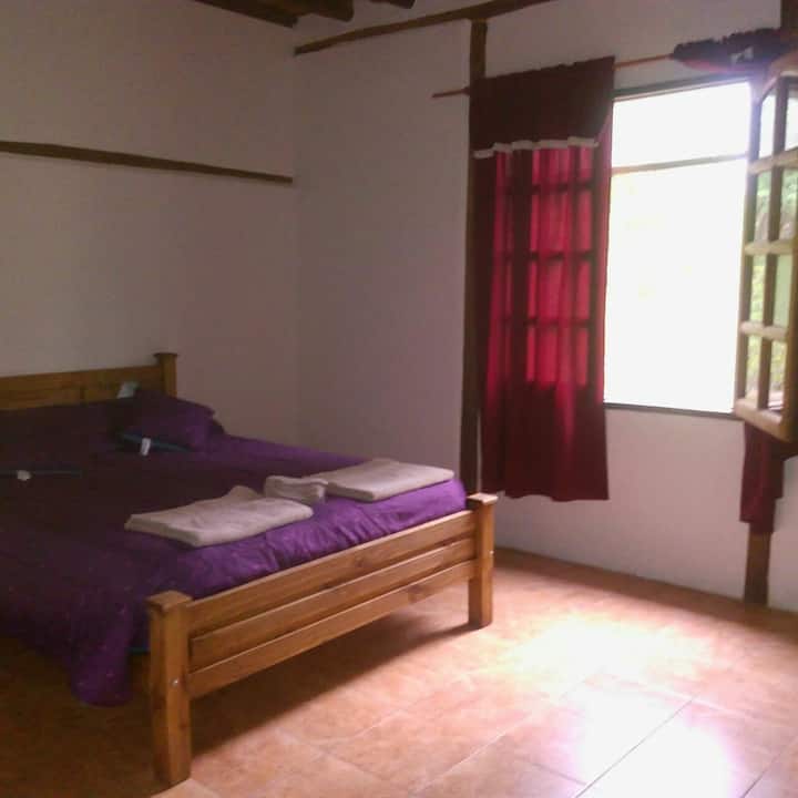 Habitación 2