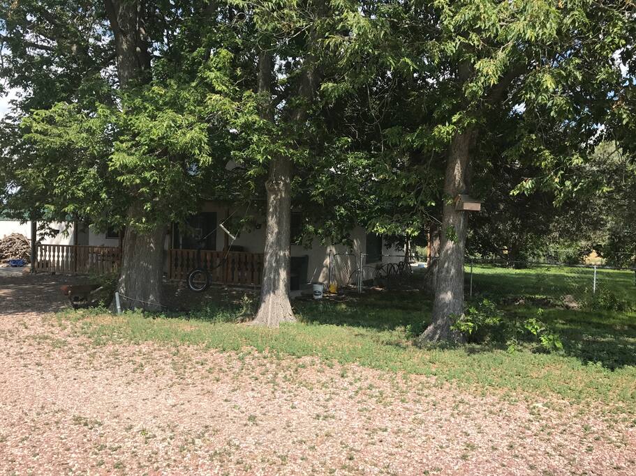 Trees shade the lawn but eclipse viewers can move just outside the yard to the drive way to get a clear view!