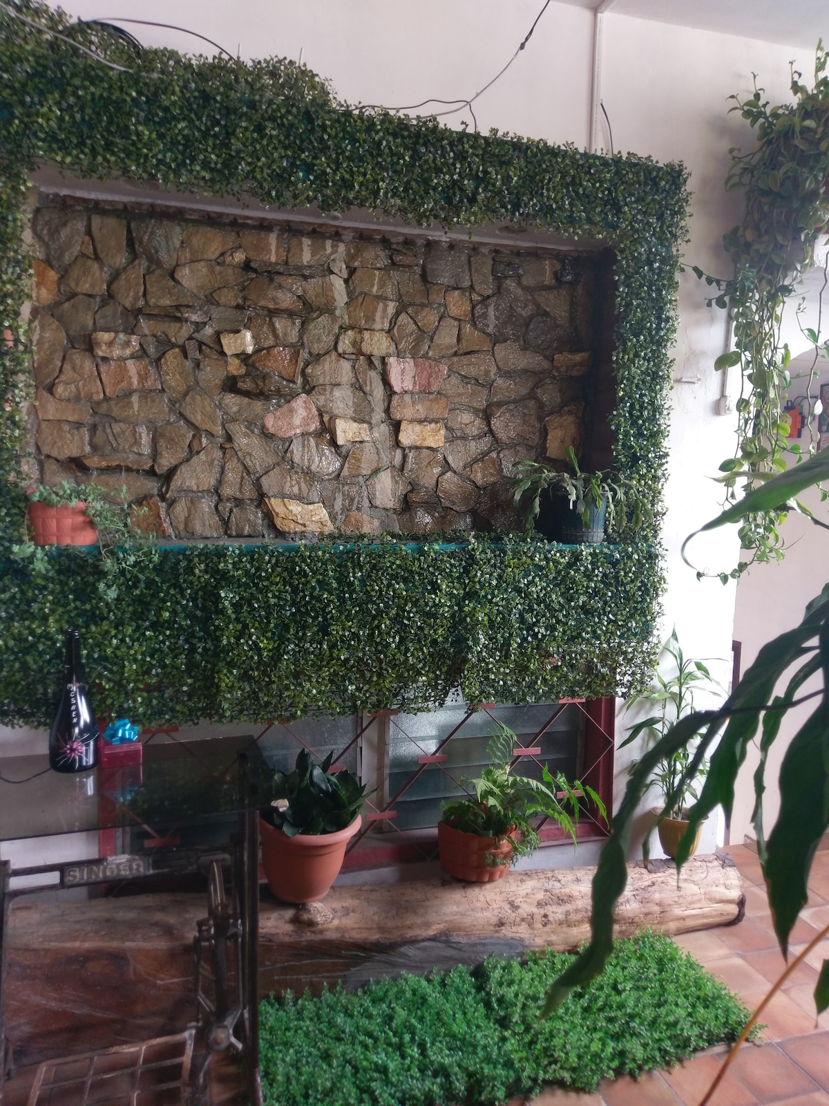 A vertical garden arrangement features a stone wall framed by lush foliage. Several potted plants are positioned at the base, contributing to a natural ambiance. Natural light filters through the greenery, creating an inviting atmosphere in the space.