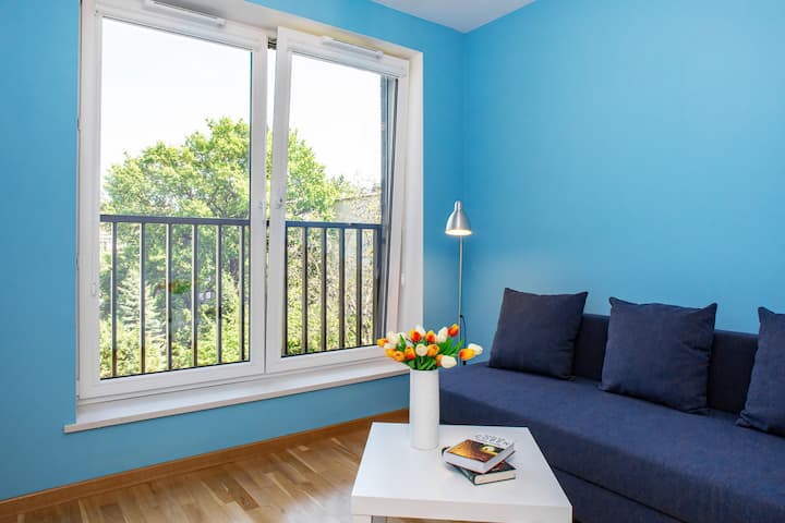 Another bedroom with a modern blue and white theme, featuring a cozy sofa, vibrant blue walls, and bright natural light for a cheerful atmosphere.