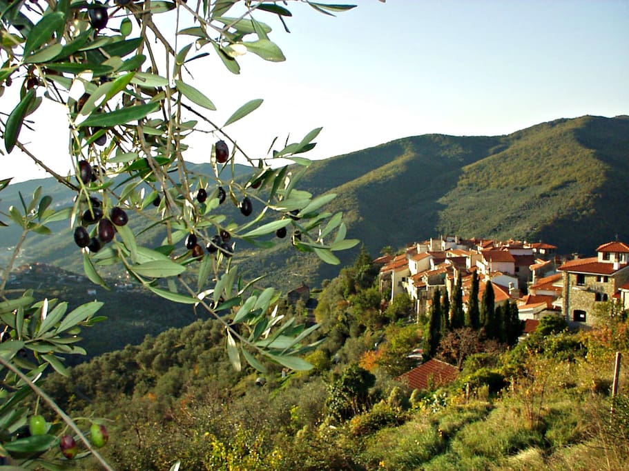 Il Borgo