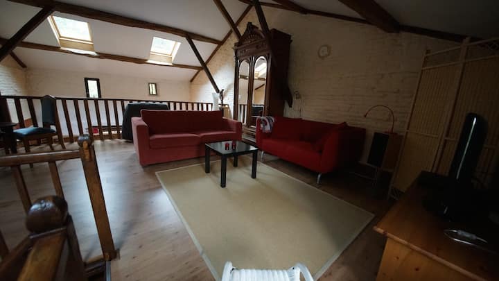 Au rez-de-chaussée se trouve un loft avec un deuxième coin salon et une télévision.