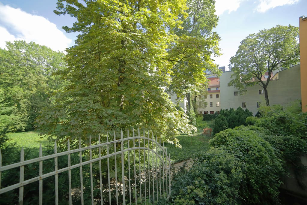 Both rooms go to the quiet and green backyard
