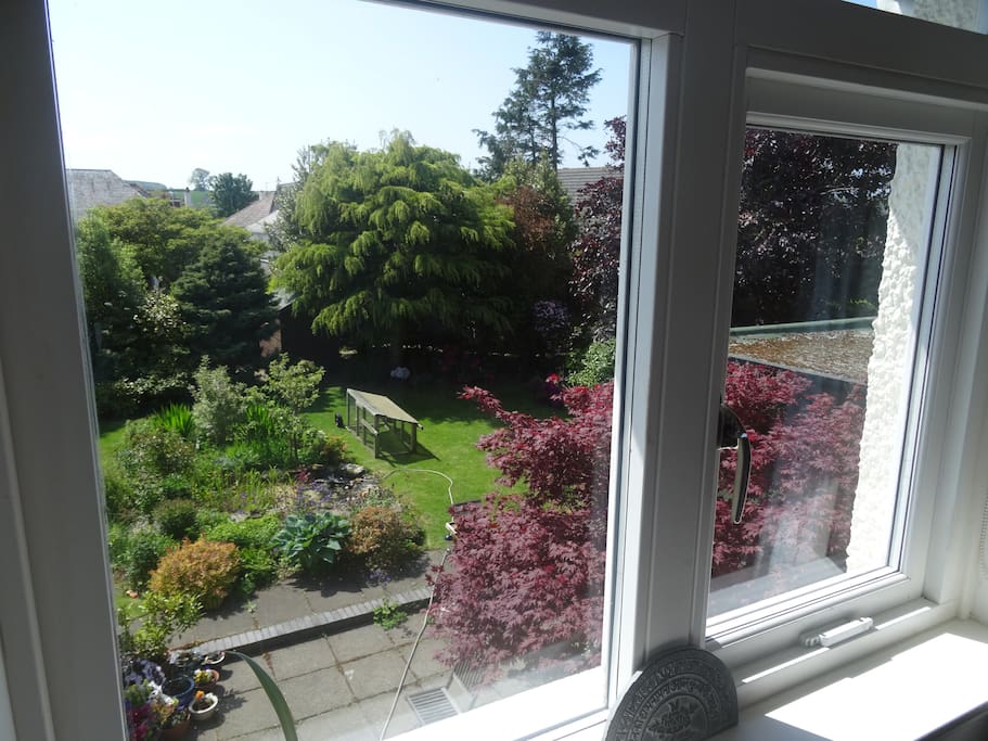 The garden view from one of the bedroom windows.
