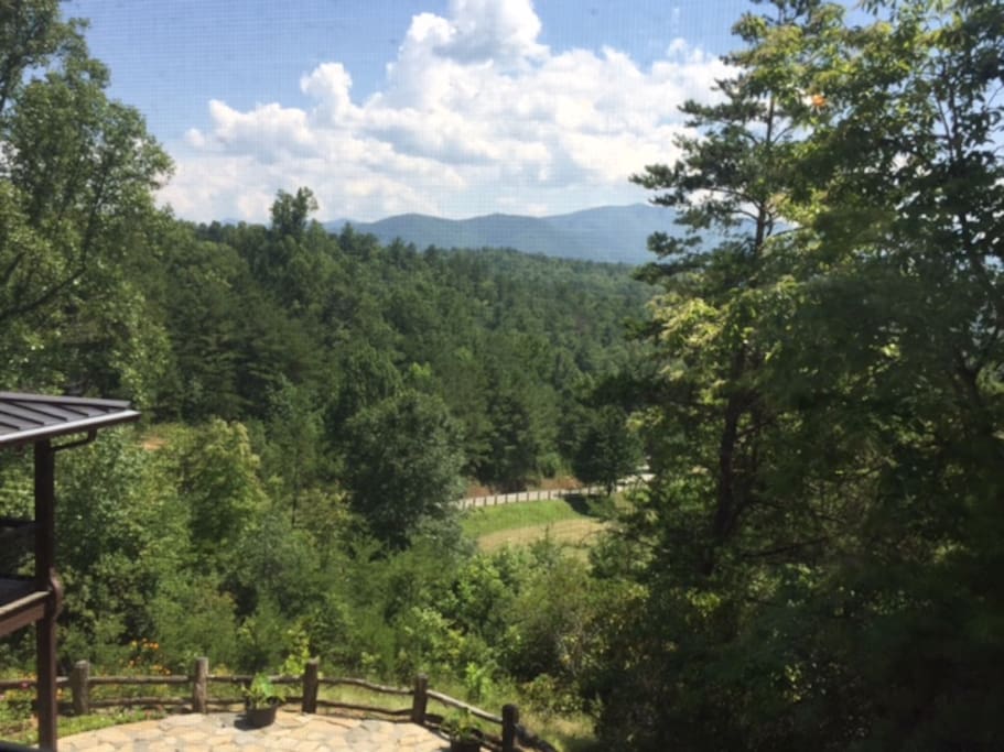 View from living area