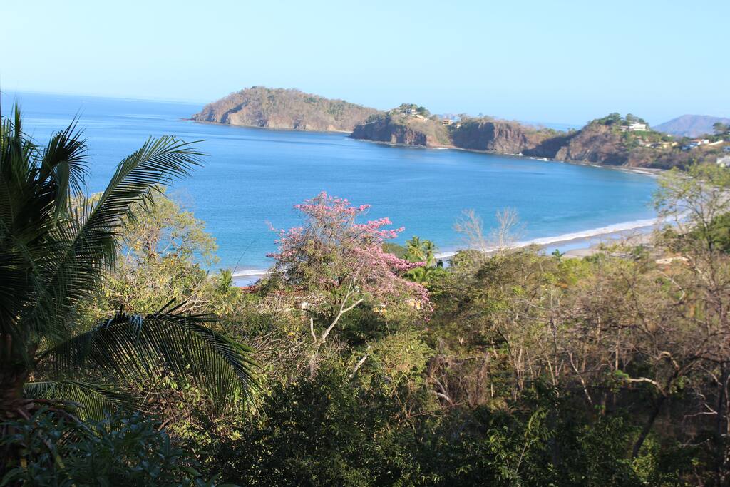 View from Casa Jungle 2