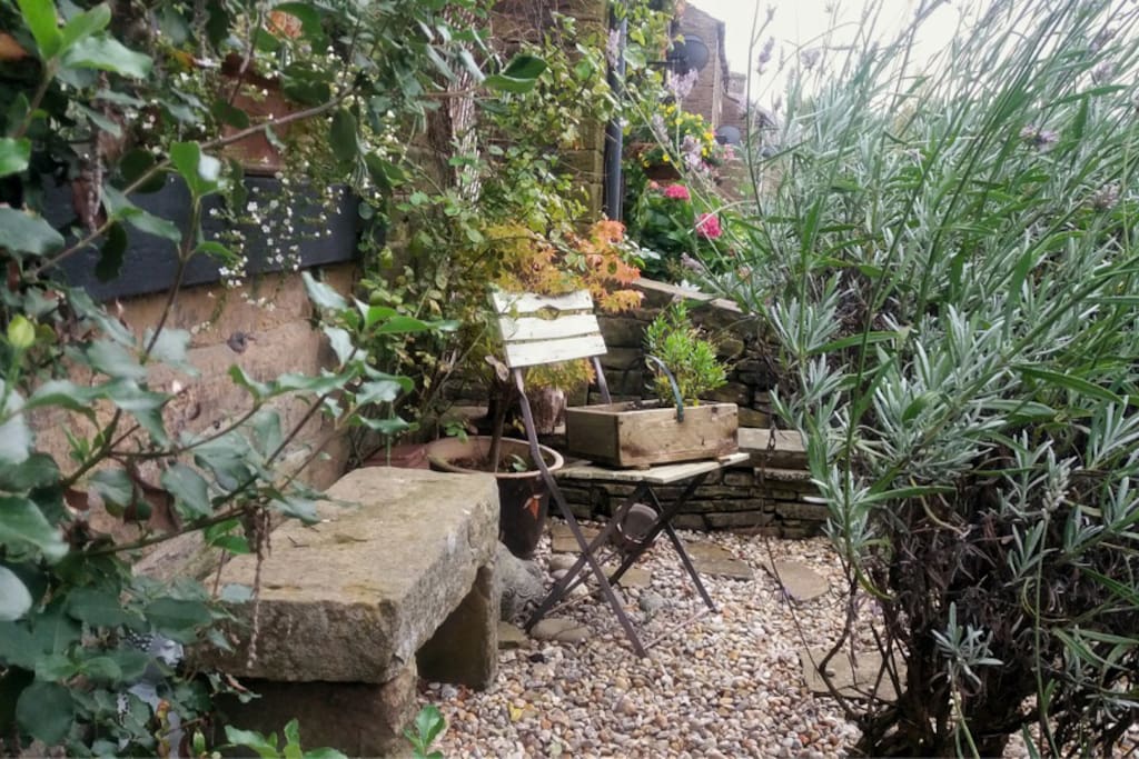 The front garden